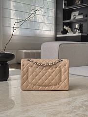 Fortok Chanel Flap Bag Beige Caviar Silver Hardware 14.5x23x6cm - 3