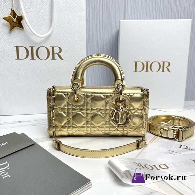 Fortok Dior Lady D-Joy Mini Gold Leather 22 x 12 x 6cm - 1