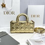 Fortok Dior Lady D-Joy Mini Gold Leather 22 x 12 x 6cm - 2