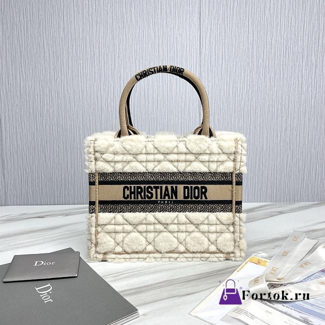 Fortok Dior Book Tote bag White Fur Brown 26.5 X21 x14cm - 1