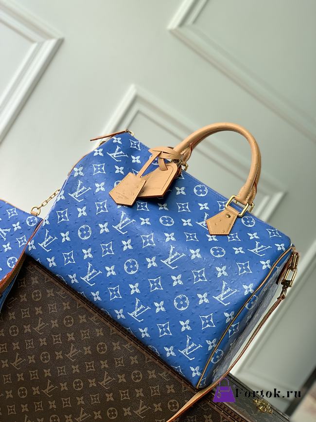 Fortok Louis Vuitton Speedy P9 Bandoulière Blue 40 x 26 x23cm - 1
