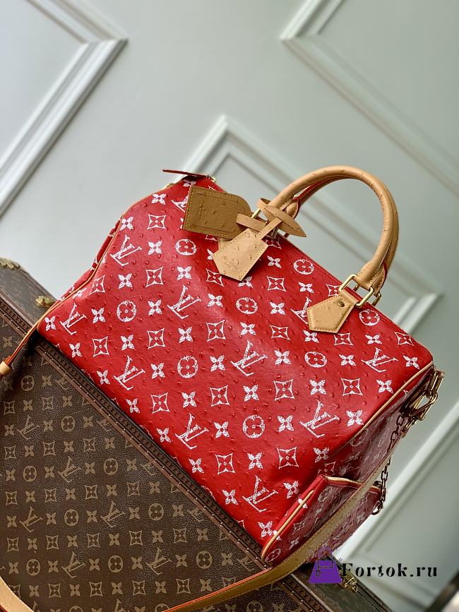Fortok Louis Vuitton Speedy P9 Bandoulière Red 40 x 26 x23cm  - 1