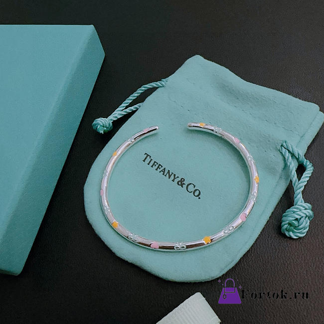 Fortok Tiffany & Co. bangle bracelet 01 - 1