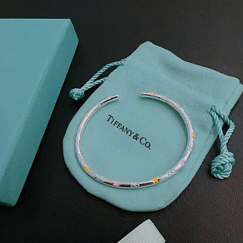 Fortok Tiffany & Co. bangle bracelet 01
