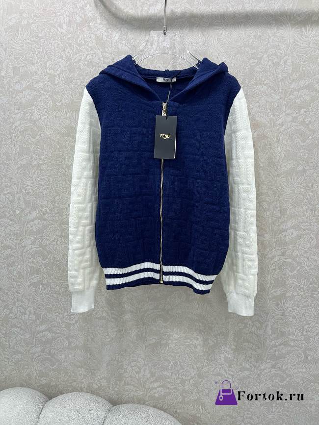 Fortok Fendi men's hooded jacket in blue and white - 1