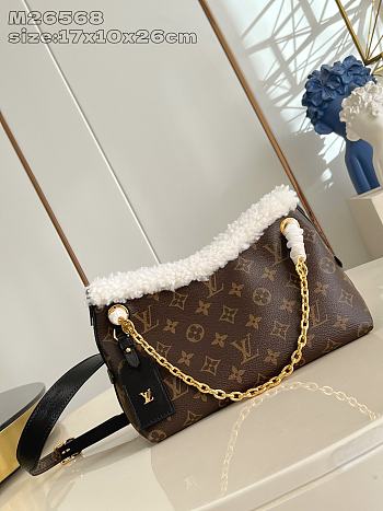 Fortok Louis Vuitton CarryAll BB bag Monogram canvas shearling 17 x 10 x 26cm