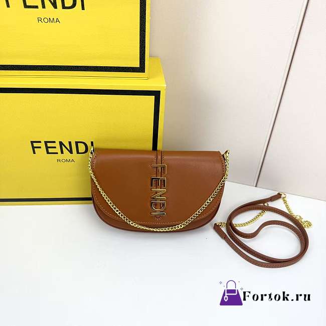 Fortok Fendi Fendigraphy black leather wallet on chain Brown 21*4*11cm - 1