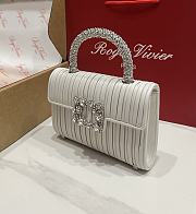 Fortok Roger Vivier Jewel Efflorescence Mini White 19*13*4cm  - 4