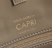 Fortok Dolce & Gabbana Capri tote Taupe 18*15*13cm - 2