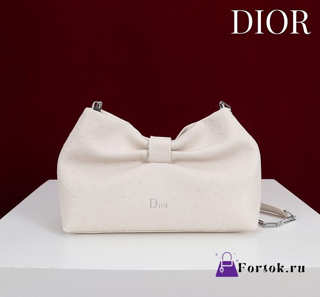 Fortok Dior 2026ss Bow bag White Ostrich embroidery 27×8×18cm - 1