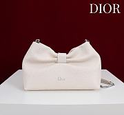 Fortok Dior 2026ss Bow bag White Ostrich embroidery 27×8×18cm - 1