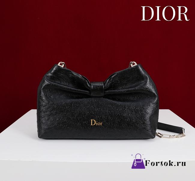 Fortok Dior 2026ss Bow bag Black Ostrich embroidery 27×8×18cm - 1