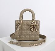 Fortok Dior 2026ss Lady Dior ABC Bag Bow Bag Clay Green 20 x 17 x 8cm - 1