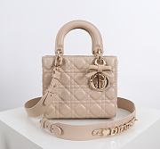 Fortok Dior 2026ss Lady Dior ABC Bag Bow Bag Powder Beige 20 x 17 x 8cm - 1