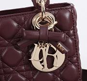 Fortok Dior 2026ss Lady Dior ABC Bag Bow Bag Burgundy 20 x 17 x 8cm - 5