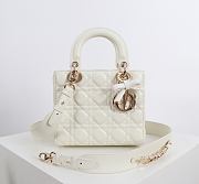 Fortok Dior 2026ss Lady Dior ABC Bag Bow Bag Latte 20 x 17 x 8cm - 1