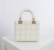 Fortok Dior 2026ss Lady Dior ABC Bag Bow Bag Latte 20 x 17 x 8cm - 3