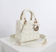 Fortok Dior 2026ss Lady Dior ABC Bag Bow Bag Latte 20 x 17 x 8cm - 4