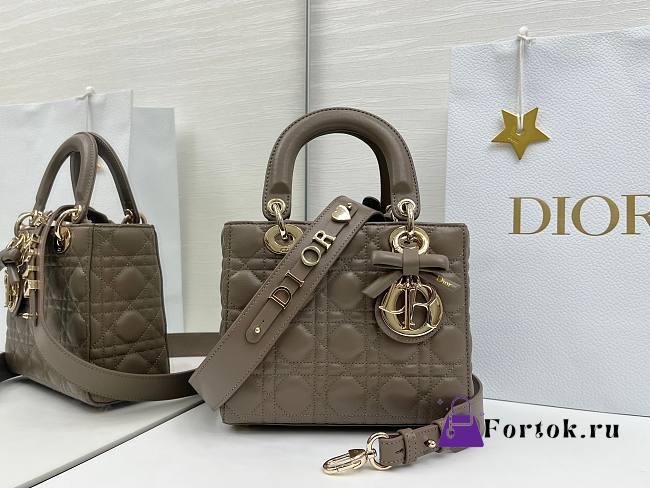 Fortok Dior 2026ss Lady Dior ABC Bow Bag Tobaco Brown Cannage Lambskin 20 x 17 x 8cm  - 1