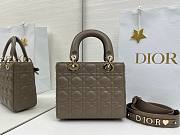 Fortok Dior 2026ss Lady Dior ABC Bow Bag Tobaco Brown Cannage Lambskin 20 x 17 x 8cm  - 4