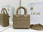 Fortok Dior 2026ss Lady Dior ABC Bow Bag Clay Green Cannage Lambskin 20 x 17 x 8cm  - 5