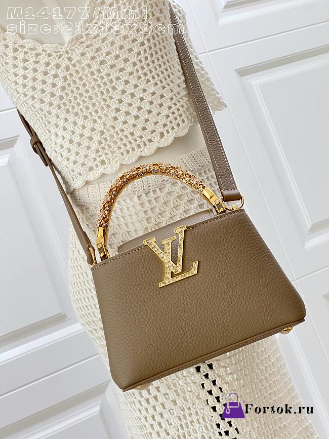 Fortok Louis Vuitton Capucines Mini Taupe leather Gold-toned Hardware 21x13x8cm - 1