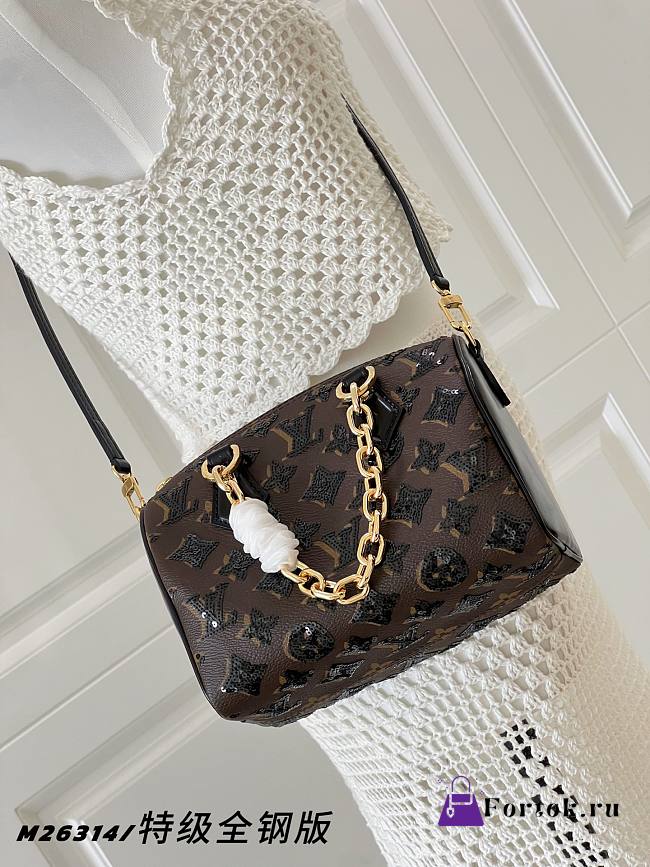 Fortok Louis Vuitton Speedy Bandoulière 20 Other Monogram Canvas 20cm - 1