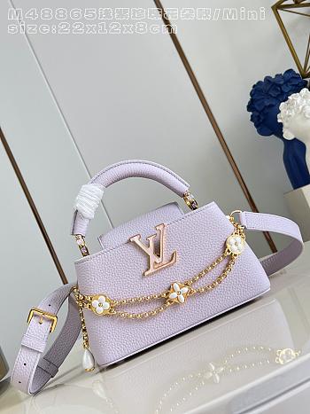 Fortok Louis Vuitton Capucines East-West Pink 12 x 8 x 22cm