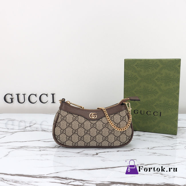 Fortok Gucci Ophidia mini bag in GG Supreme canvas 19x10x3cm - 1