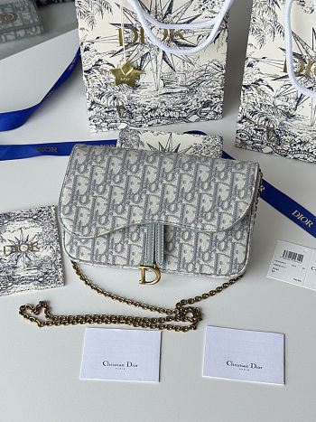 Fortok Dior Saddle Pouch with Chain in White canvas Dior Oblique jacquard 21.5*12.5*3.7cm
