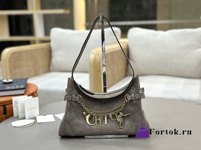 Fortok Chloé Charms hobo bag Grey suede 28.5 x 18 x 10cm - 1