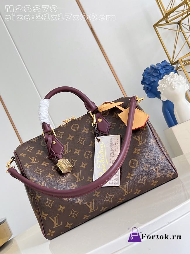 Fortok Louis Vuitton Speedy P9 Bandoulière 30 bag Burgundy Line 22 x 18 x 32cm - 1