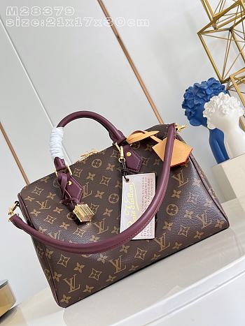 Fortok Louis Vuitton Speedy P9 Bandoulière 30 bag Burgundy Line 22 x 18 x 32cm