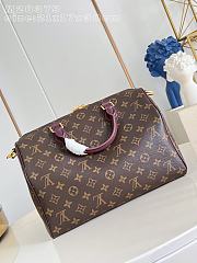 Fortok Louis Vuitton Speedy P9 Bandoulière 30 bag Burgundy Line 22 x 18 x 32cm - 3