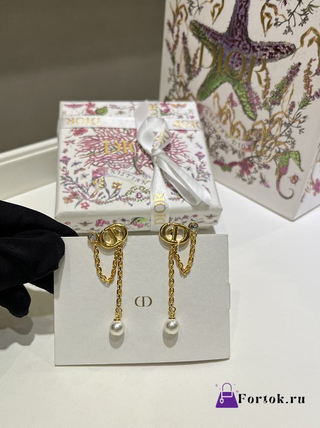 Fortok Dior CD Earrings - 1