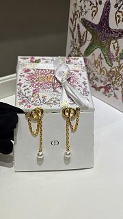 Fortok Dior CD Earrings - 4