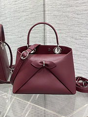Fortok Dior Cigale bag Burgundy 28*10*22cm - 6