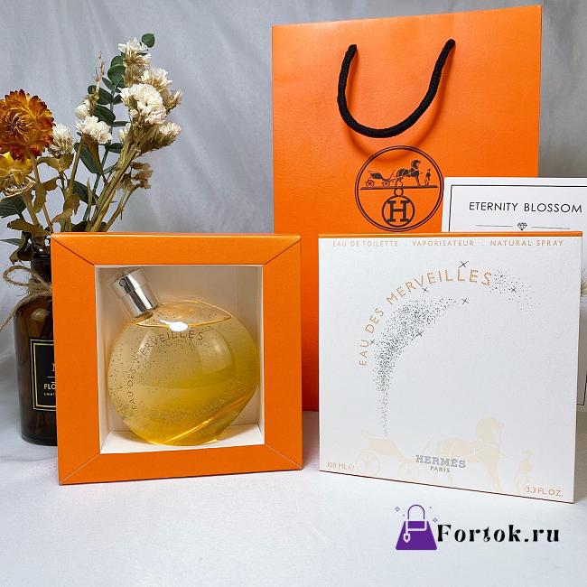 Fortok HERMÈS Eau des Merveilles Eau de Toilette 100ml - 1