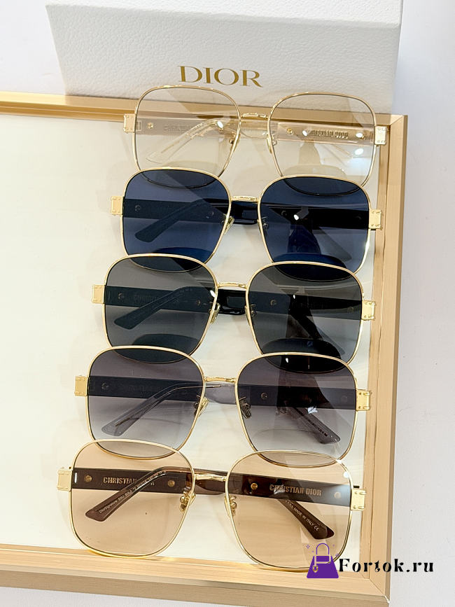 Fortok Dior Signature Oversize Sunglasses Multicolor - 1