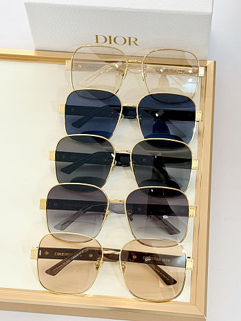 Fortok Dior Signature Oversize Sunglasses Multicolor