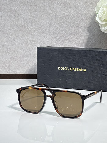 Fortok Dolce & Gabbana Sunglasses DG4423 Multicolor