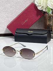 Fortok Cartier Sunglasses CT0592S Multicolor - 4