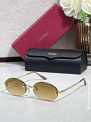 Fortok Cartier Sunglasses CT0592S Multicolor - 5
