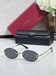 Fortok Cartier Sunglasses CT0592S Multicolor - 2