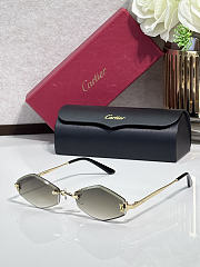 Fortok Cartier Sunglasses CT0590S Multicolor - 4