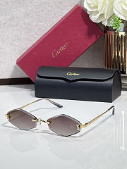Fortok Cartier Sunglasses CT0590S Multicolor - 2