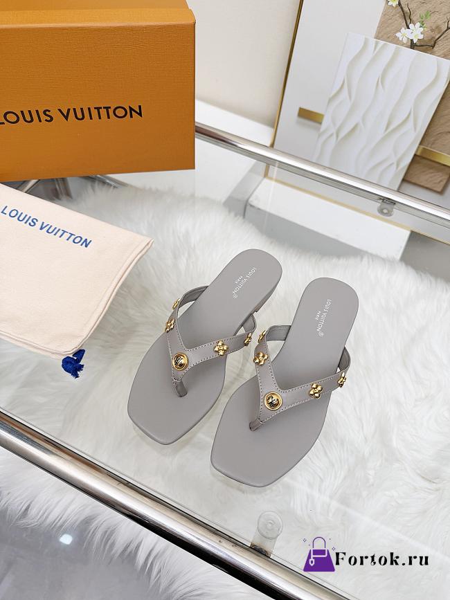 Fortok Louis Vuitton Gaia Flat Thongs Grey - 1
