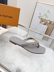 Fortok Louis Vuitton Gaia Flat Thongs Grey - 4
