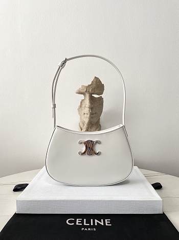 Fortok Celine Tilly Bag in Shiny Calfskin 22×13.5×4cm