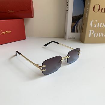 Fortok Cariter Sunglasses Blue